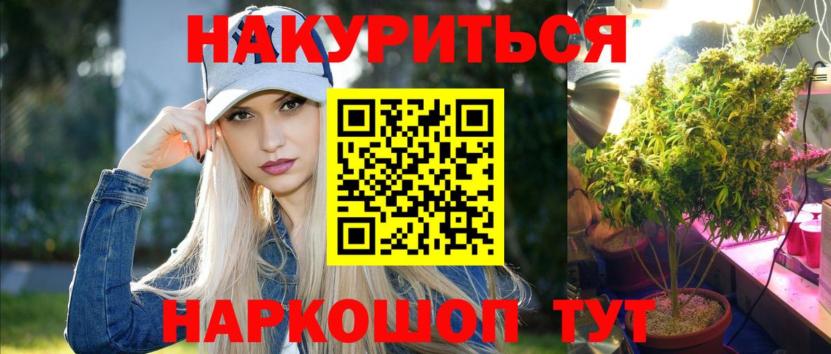 Бошки марихуана ГИДРОПОН  Бошки Шишки Ganja  Киселёвск  Вход с VPN 